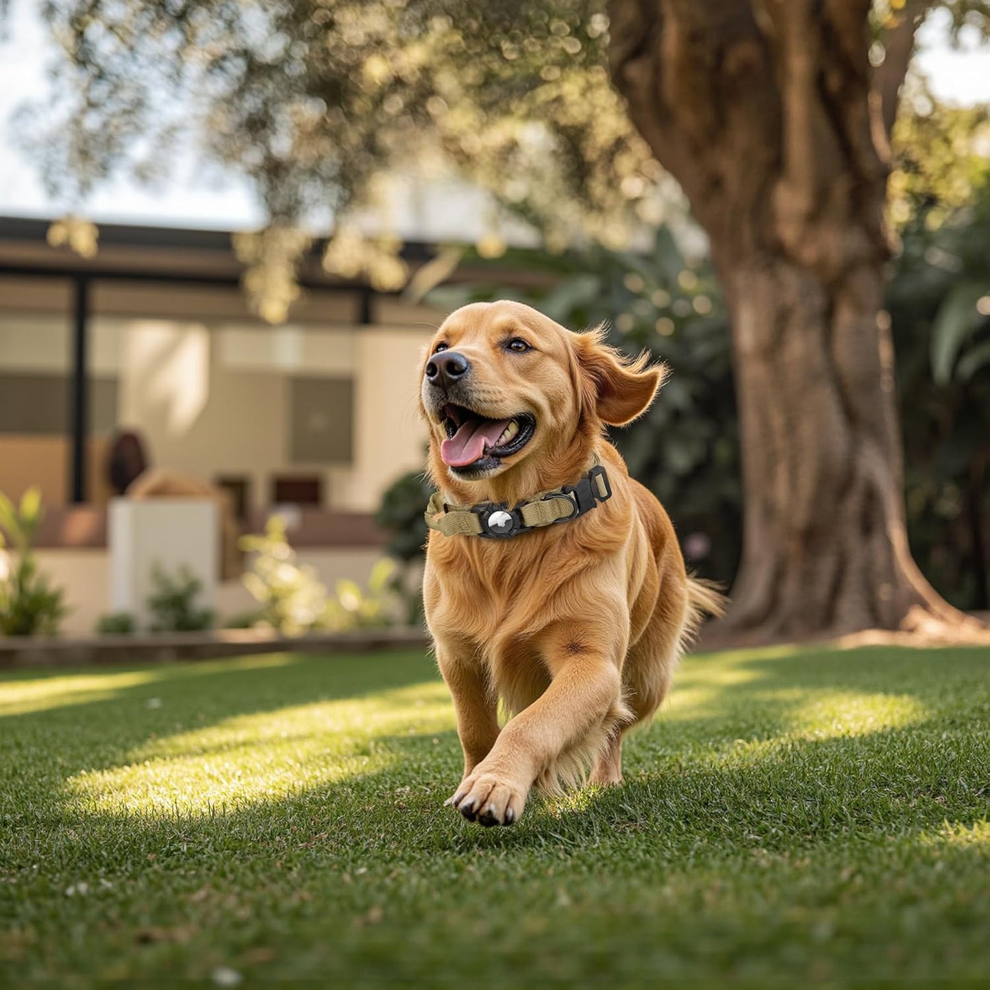 Tactical AirTag Dog Collar - Heavy Duty, Adjustable GPS Collar Compatible with Apple AirTag, with Holder & Control Handle for Medium/Large Dogs [ Brown, M ]