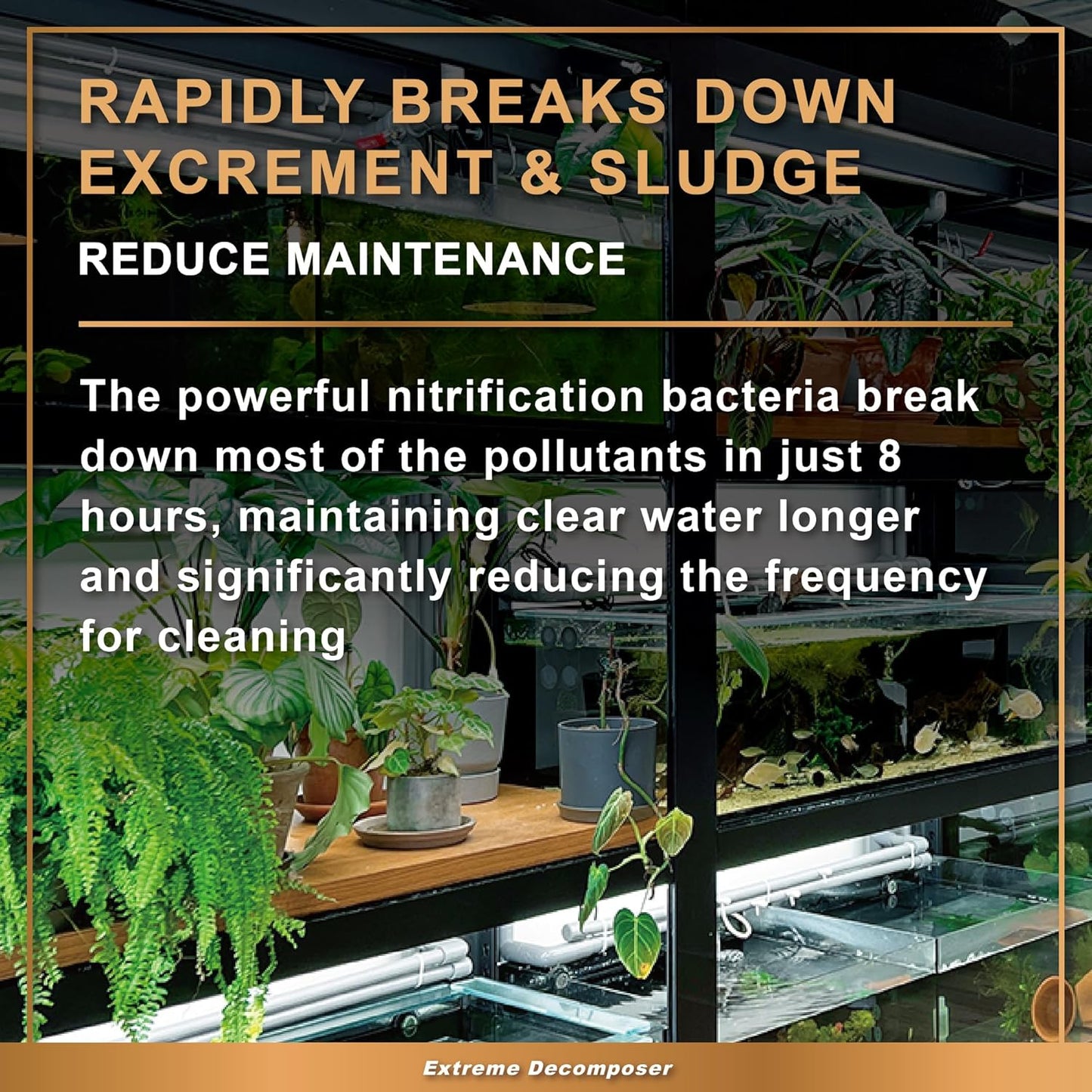 AZOOPLUS BIO XD Extreme Decomposer Nitrifying Bacteria for Freshwater and Saltwater Fish Tank 33.8 Ounces