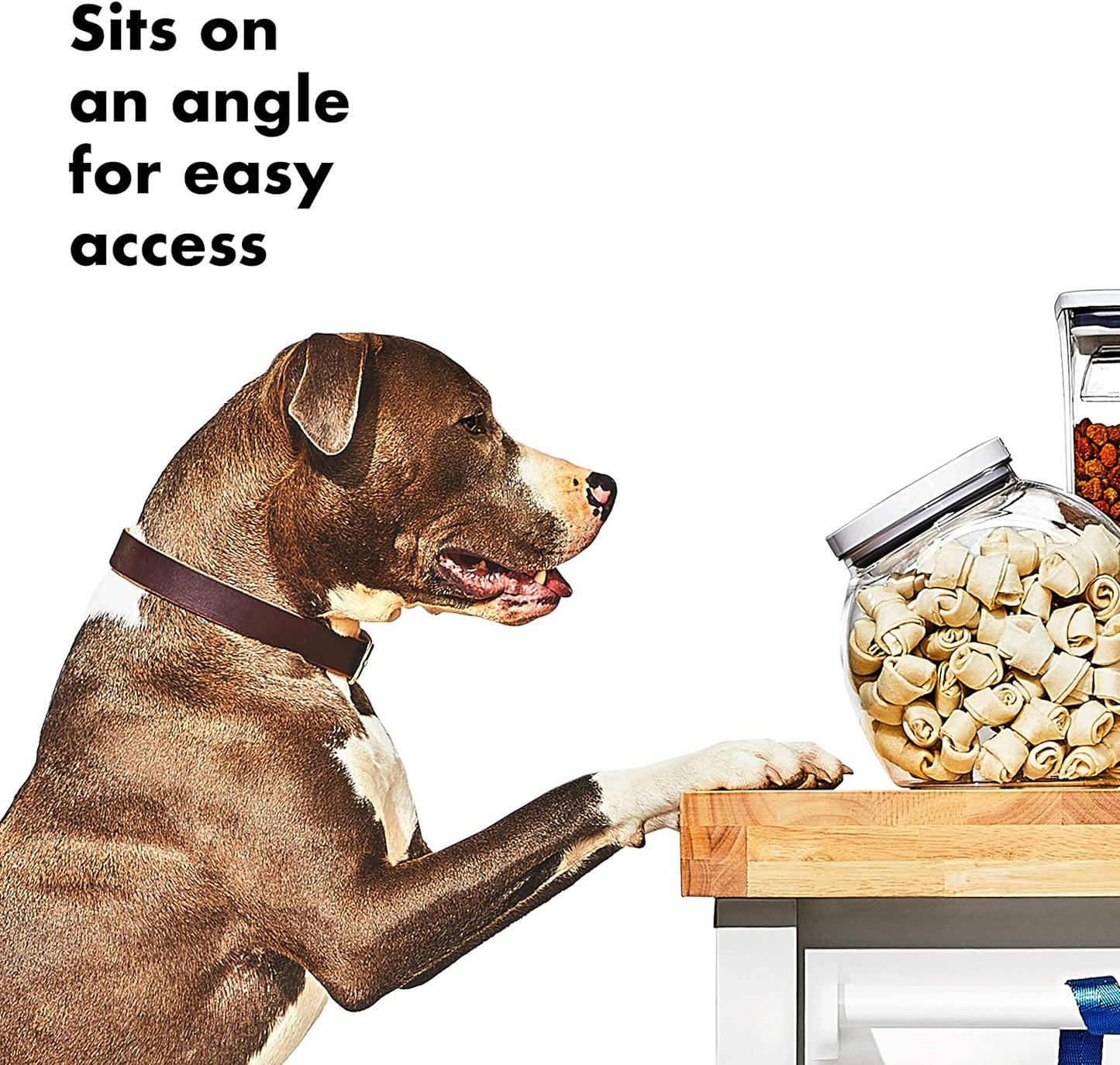 OXO Good Grips Pet POP Container – 3.0 Qt/2.8 L | Ideal for up to 2lbs of treats | Airtight Dog and Cat Food Storage Container | BPA Free