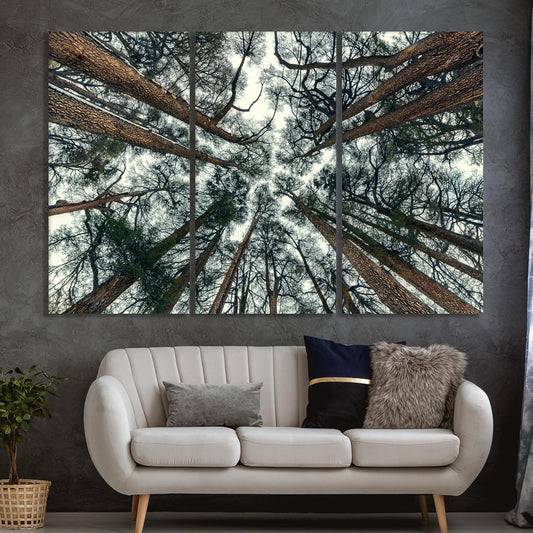 Nature Wall Art Prints - Ocean Forest Mountain Lake Canvas Landscapes - Small to Extra Large Living Room Bedroom Kitchen Bathroom Décor (Trees and Sky, 31L" x 47W" - 3 Panels)