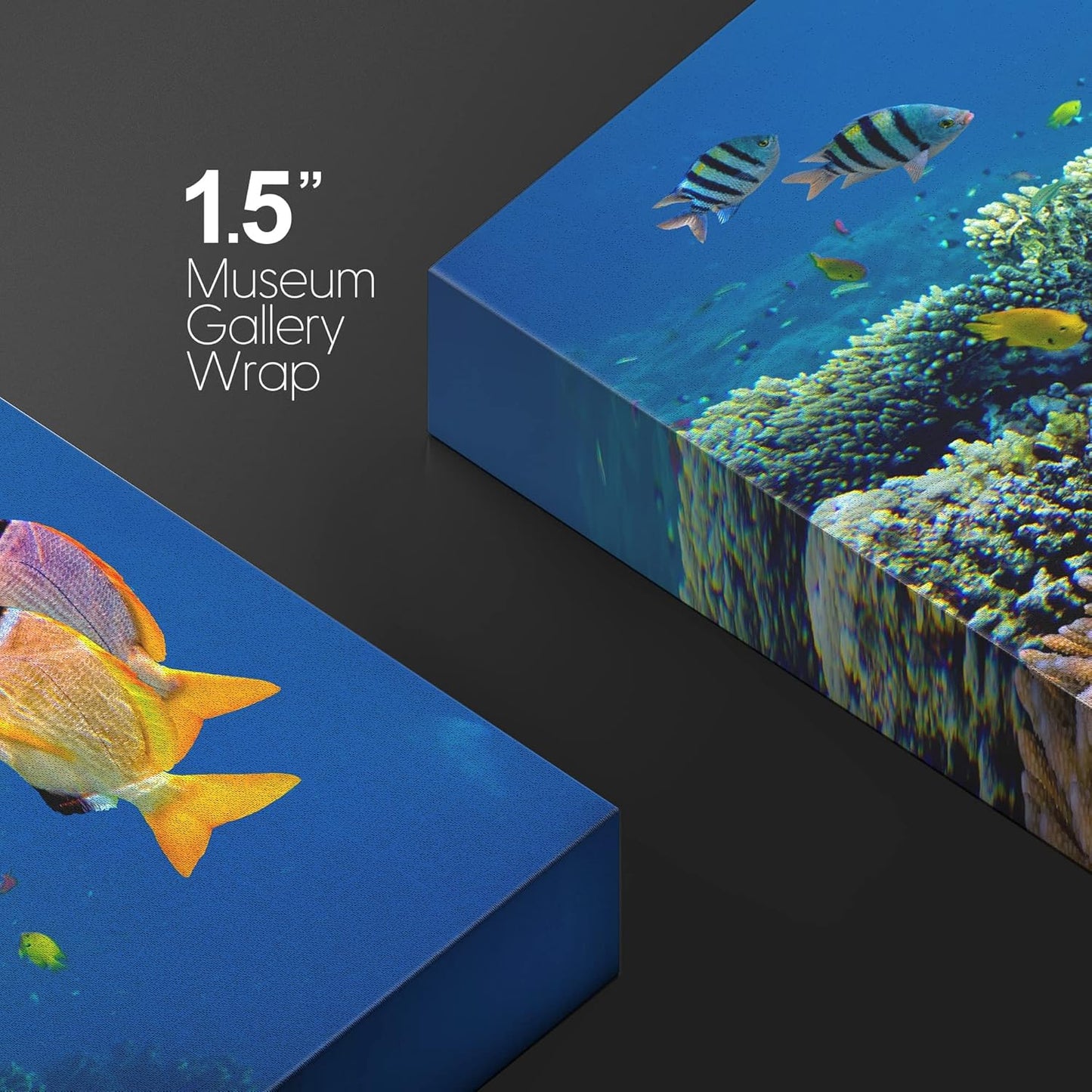 wall26 Canvas Print Wall Art Vibrant Coral Reef Underwater Panorama Nature Animals Photography Realism Rustic Scenic Landscape Wilderness Earth Colorful for Living Room, Bedroom, Office - 24"x36"