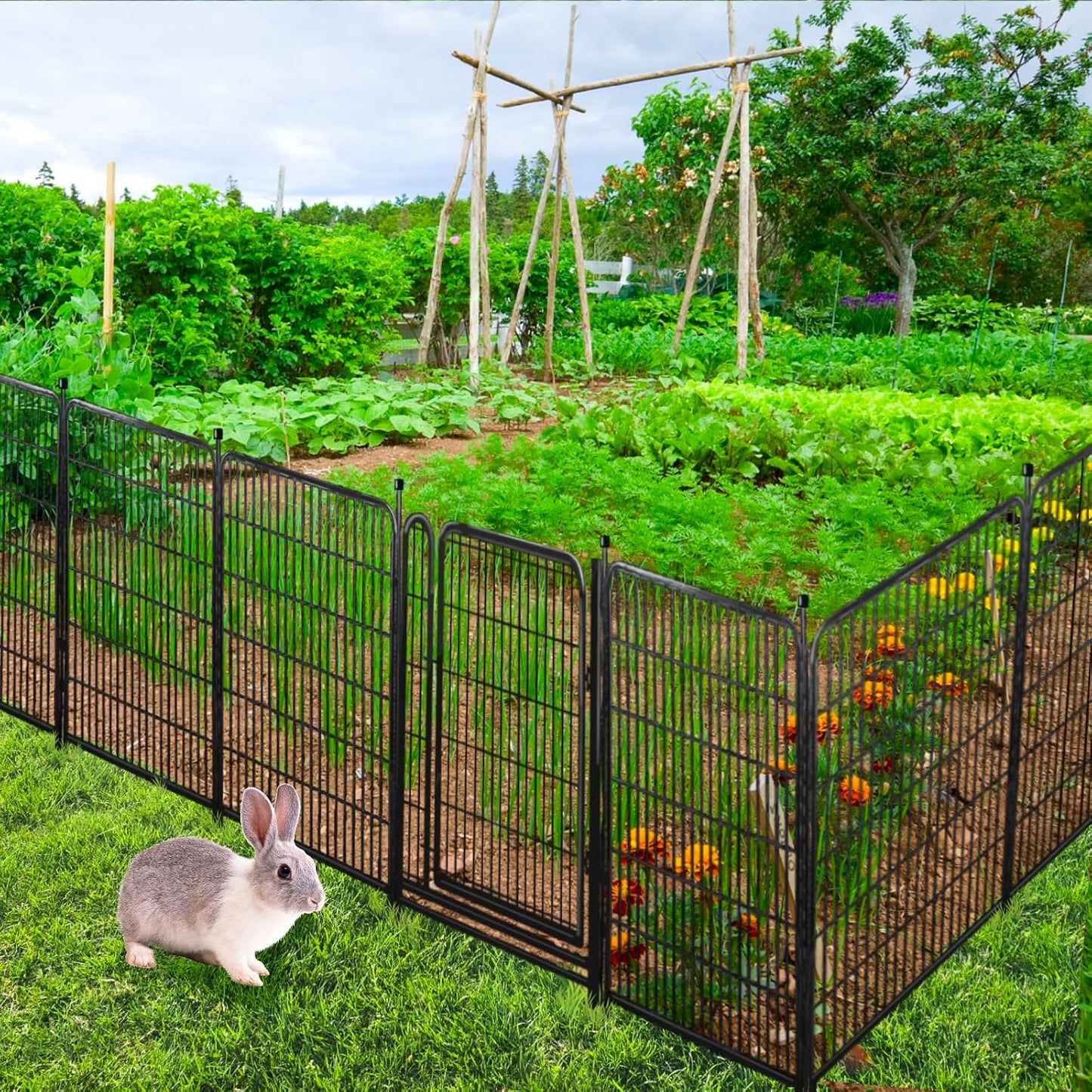 Tall Garden Fence Animal Barrier,Wide Gate Low Threshold Fence Panels, 48in(H) 4 Panels Total 8.9 Ft(L) Flower Bed Fencing, Heavy Metal Dog Fence Outdoor for Yard