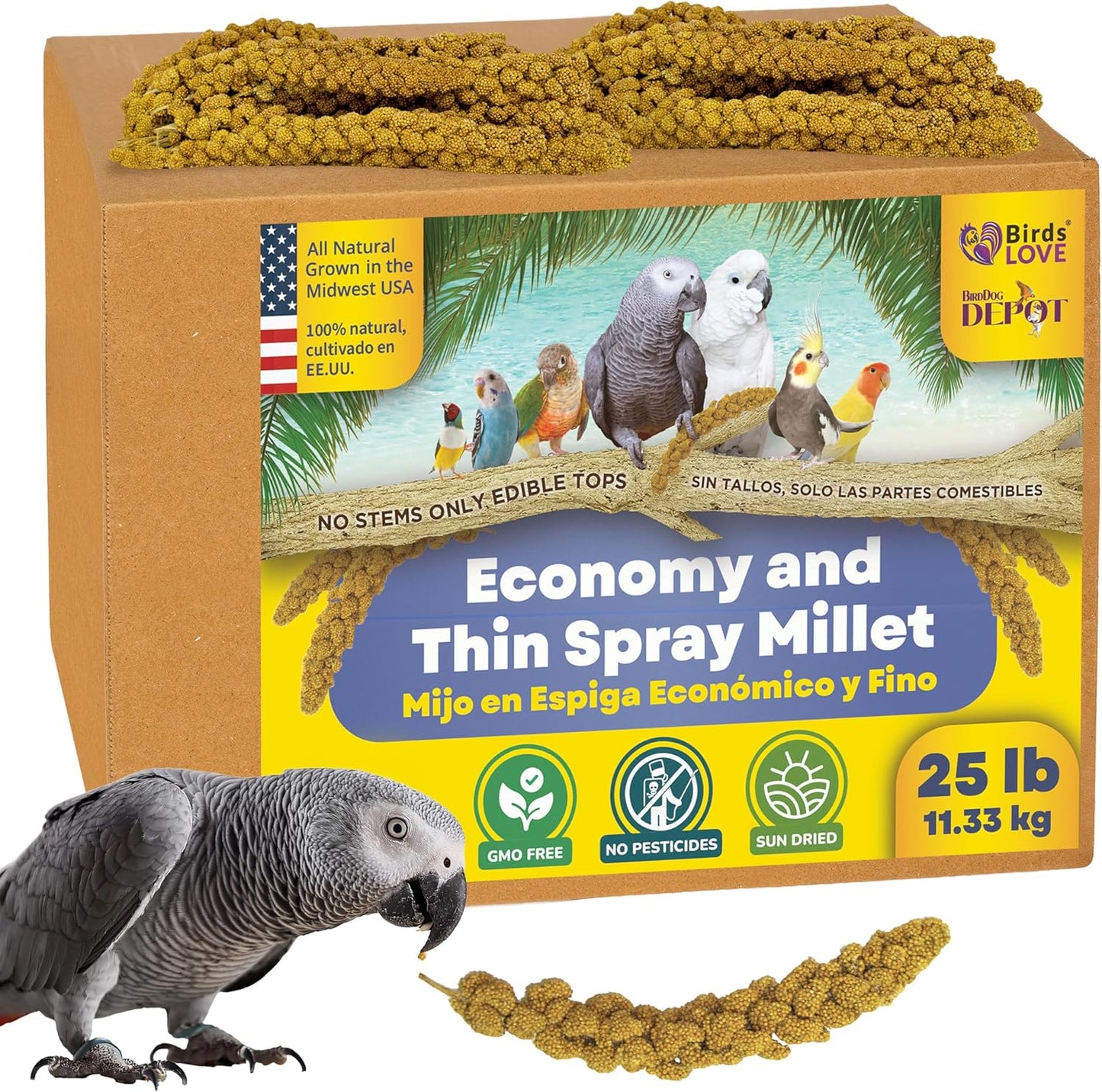 Birds LOVE Economy & Thin Special Spray Millet GMO-Free (No Stems Only Edible Tops) for Birds Cockatiel Lovebird Parakeet Finch Canary All Parrots Healthy Treat - 25lbs