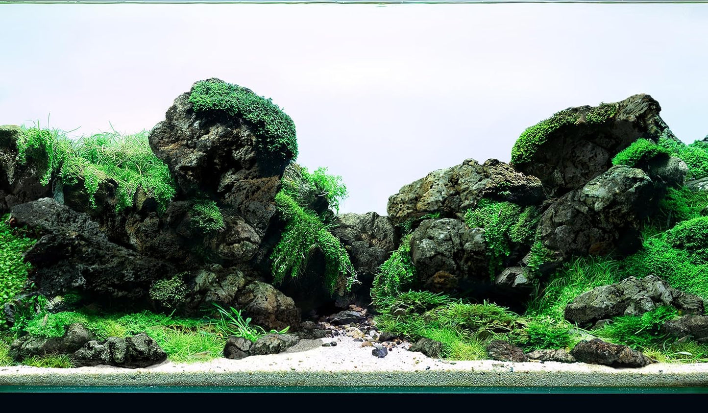 LANDEN Black Icelandic Lava Stone Natural Rocks (18lbs, 3~11 inches,11pcs) for Aquariums, Paludariums, Terrariums, Caves and Rocky Peaks, Mountainous Desert Landscapes