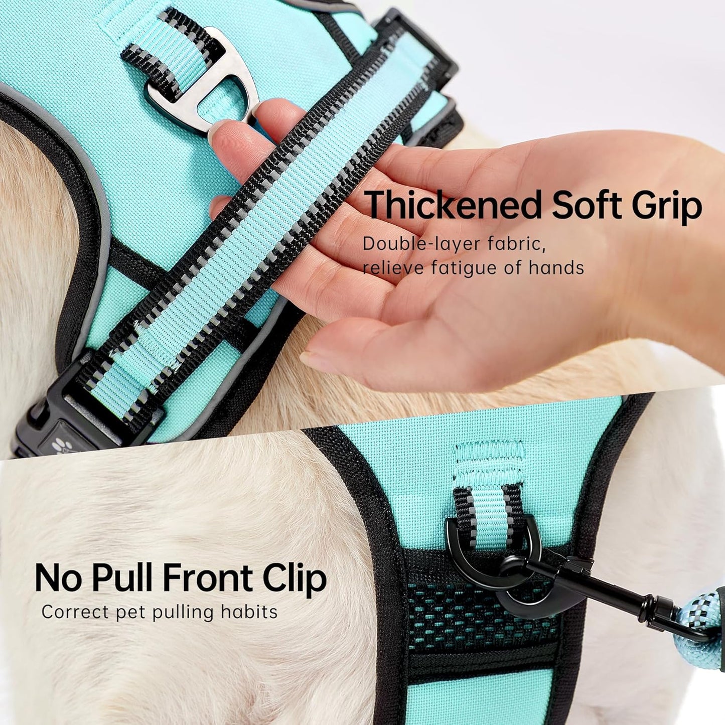 NESTROAD No Pull Dog Harness,Adjustable Oxford Dog Vest Harness with Leash,Reflective No-Choke Pet Harness with Easy Control Soft Handle for Small Dogs(Small,Turquoise)