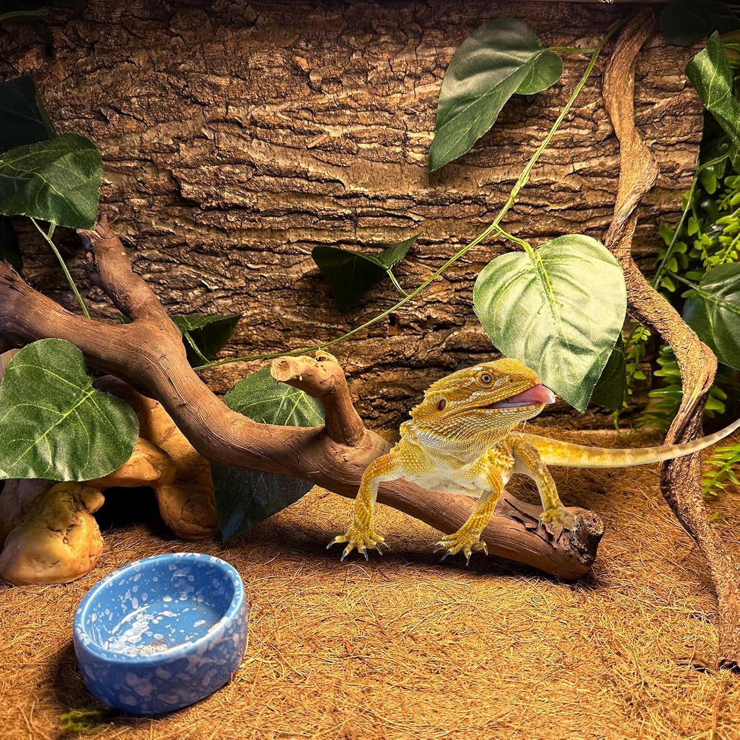 BNOSDM 2PCS Reptile Wood Branches, Snake Climbing Branch, Bearded Dragon Climbing Accessories, Lizard Habitat Decor, Terrarium Tree Trunk Ornament for Gecko Frog Chameleon Spider