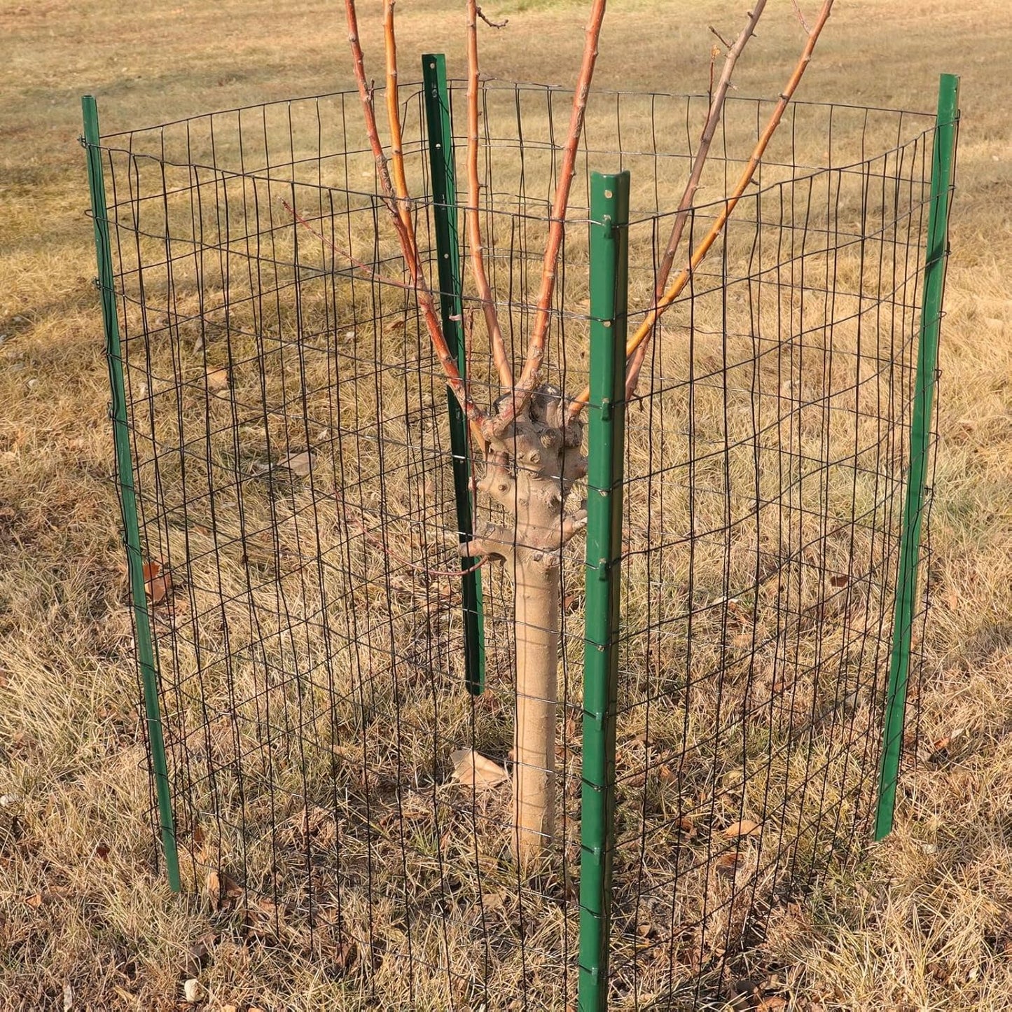 Black PVC Coated Welded Wire Fence 24 Inch x 25 Foot, 2 Inch x 3 Inch 16GA, Garden Border Fencing Roll Vinyl Coating Metal Wire Mesh for Yard Vegetable Plant Protection Poultry Netting