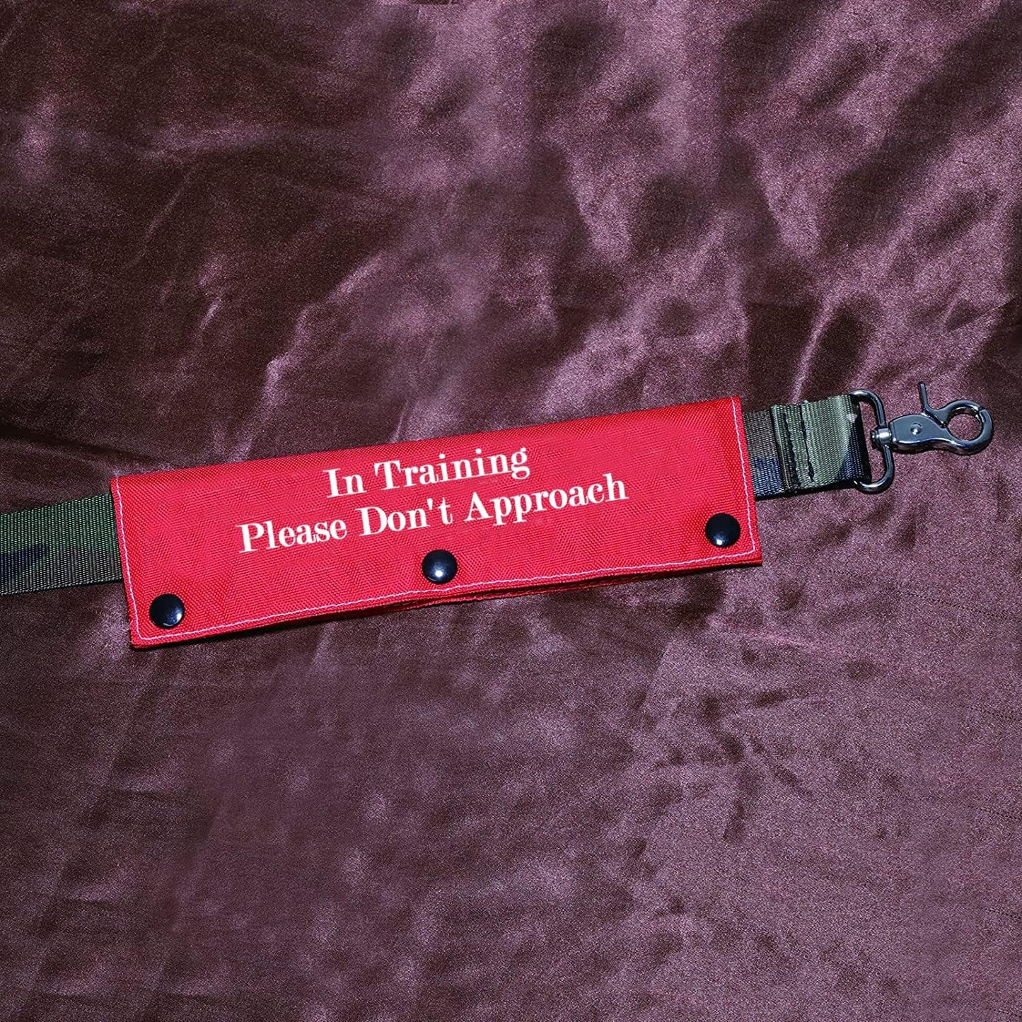 Funny Dog Leash Sleeve in Training Please Don't Approach Dog Leash Wrap Wrap Alert Hanging ID Patch Tag(Don't Approach-Sleeve)