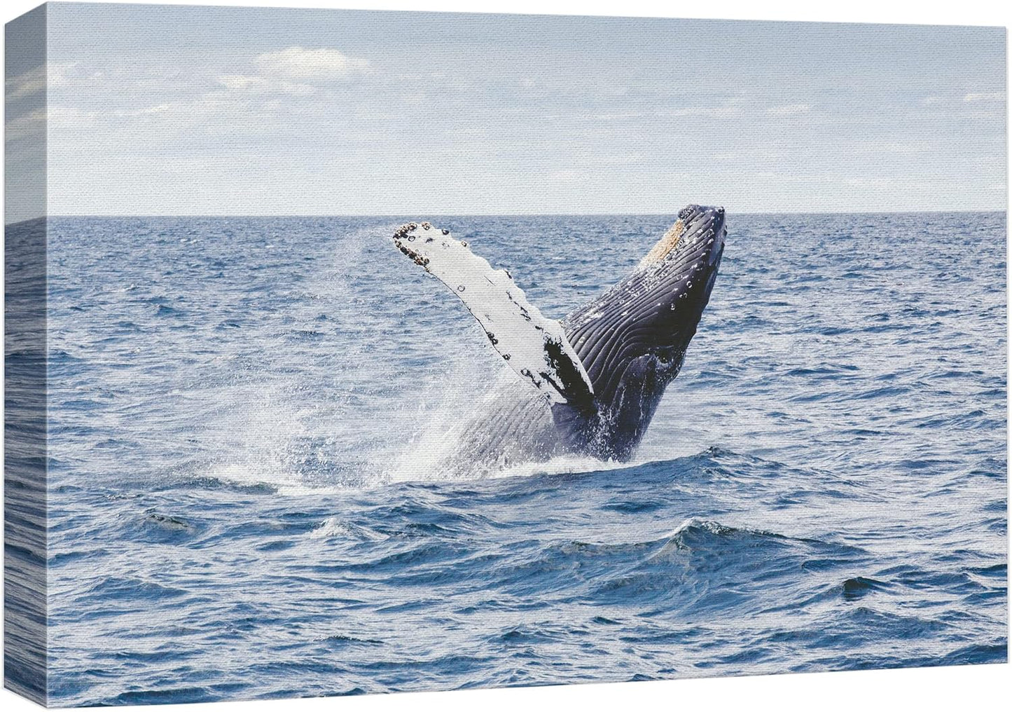 wall26 Canvas Print Wall Art Tropical Ocean Sea Water Horizon Blue Whale Nature Animals Photography Realism Rustic Scenic Landscape Wilderness Colorful for Living Room, Bedroom, Office - 12"x18"