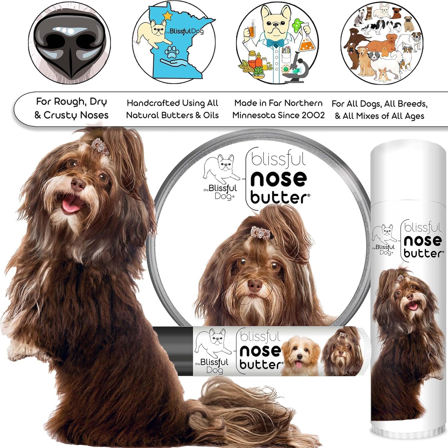 The Blissful Dog Havanese Nose Butter for Dry, Cracked Skin, Lick-Safe Dog Nose Balm with Moisturizing Shea Butter, Almond, Olive, and Essential Oils, Pet Supplies, Uncented, 8 oz.