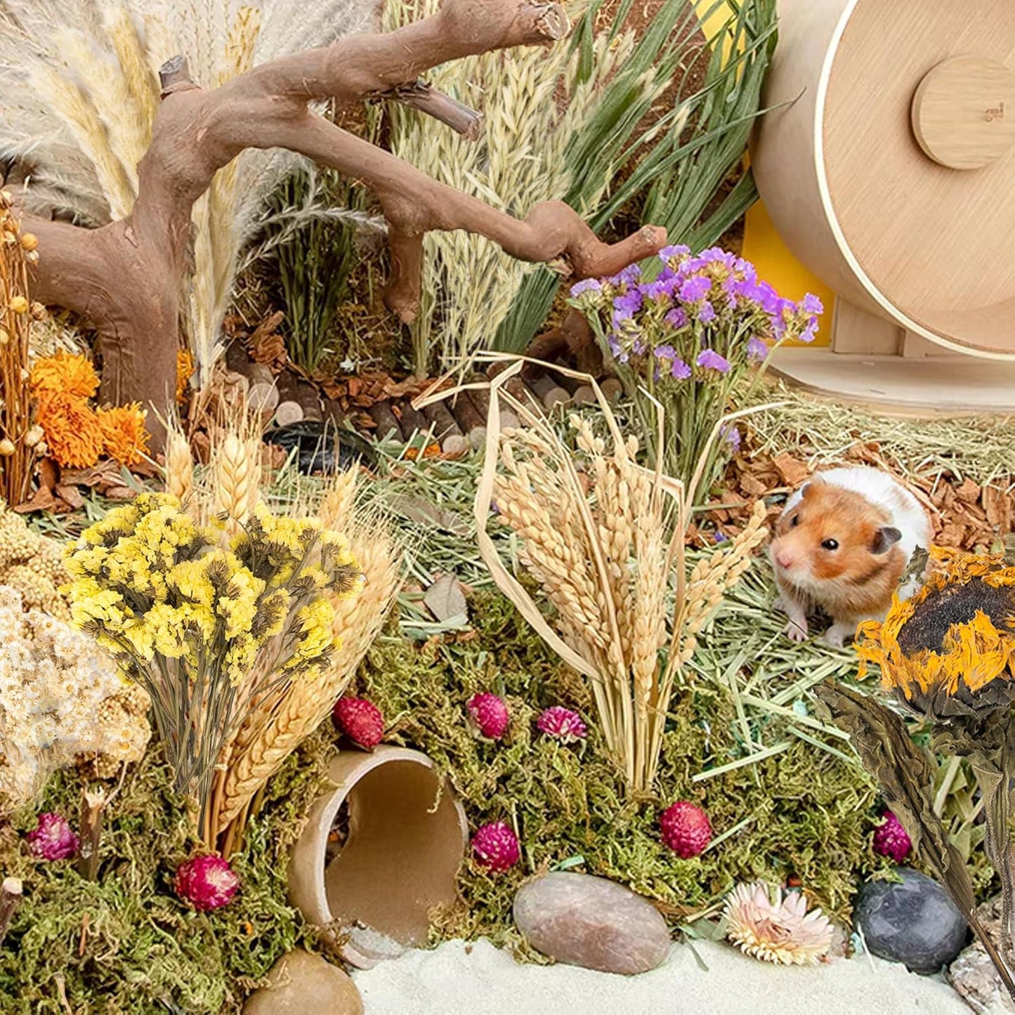 Natural Ear of Grain Flower&Herb Bedding Mate Habitat Decor, Adding Fun Hamster Accessories for Hamsters Gerbils Lemming