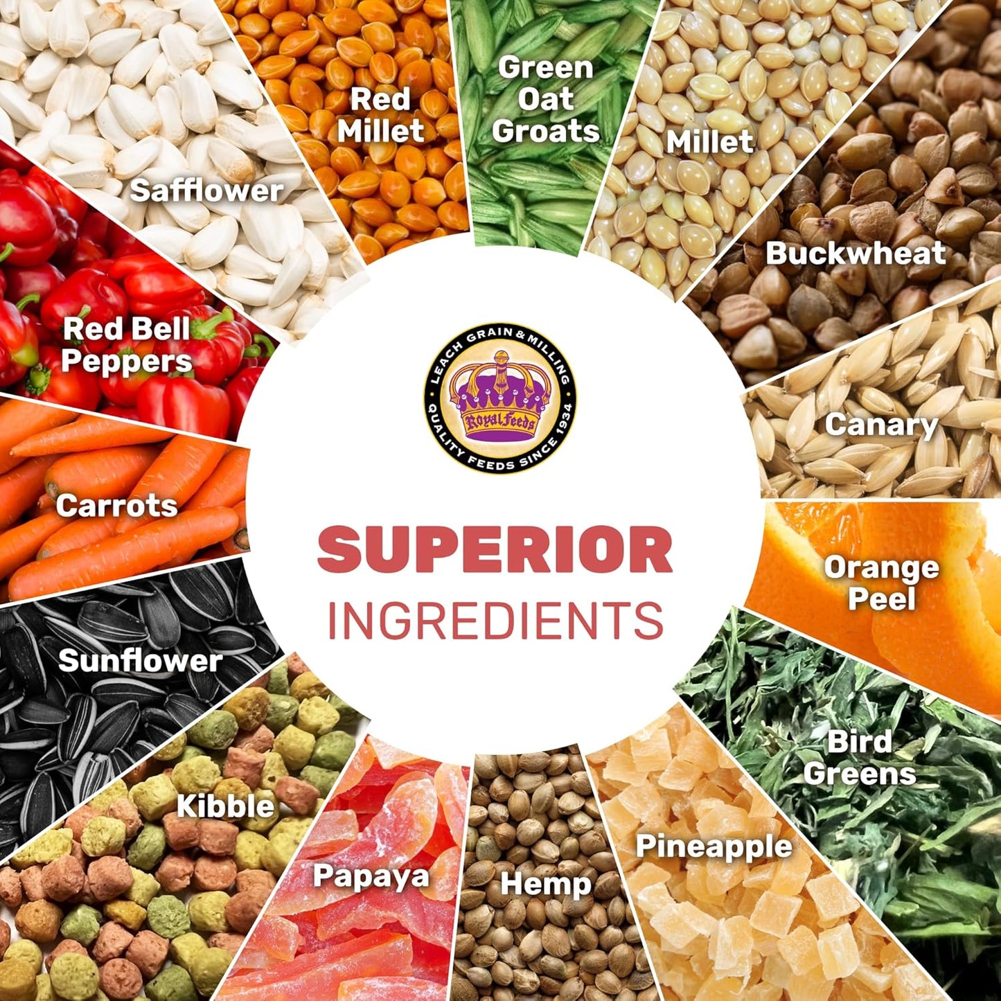 Cockatiel & Conure Cuisine 4 Lbs, Cockatiel & Conure Bird Seed, Nutrient-Rich Mixed Birdseeds, Bird Food for Cockatiels, Natural Mixed Seeds for Other Small Parrot, Daily Energy Growth & Balanced Diet